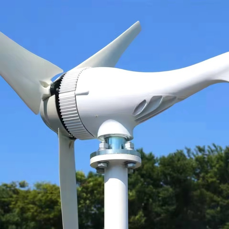 Renewable Energy Use - Microgeneratori Eolici a Basso Costo 1000W