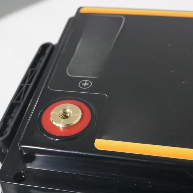 Lifepo4 12 V 100 Ah 200 Ah 300 - Lifepo4 Battery Pack recensione e prezzo