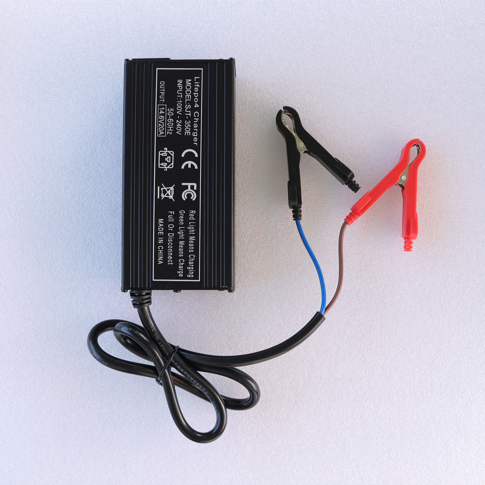 Caricabatteria 12V 24V LiFePO4 - Lifepo4 Battery Pack recensione e prezzo