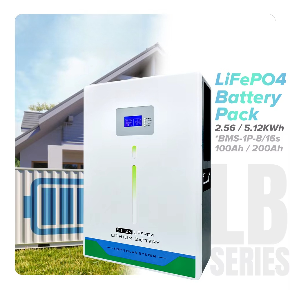 Batteria agli ioni di litio Li - Lifepo4 Battery Pack recensione e prezzo