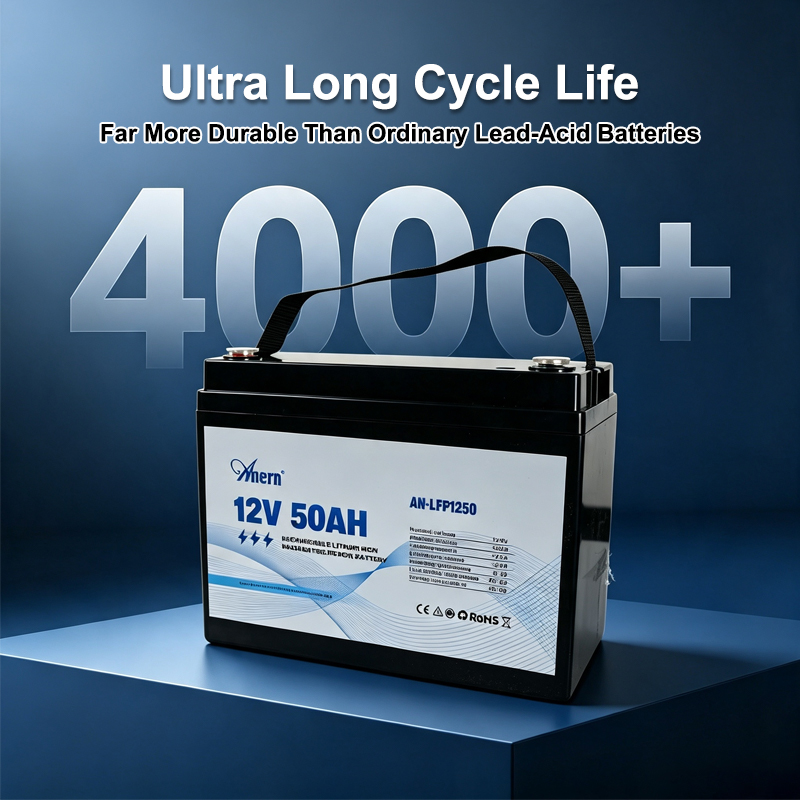 Batteria al Litio 12V 30AH 50A - Lifepo4 Battery Pack recensione e prezzo